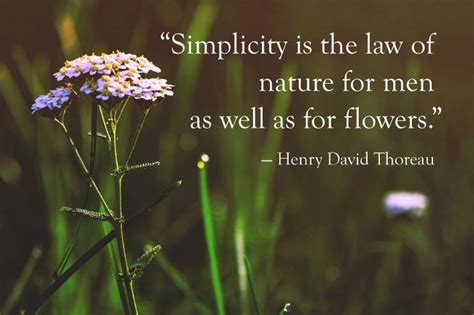 National Simplicity Day 4 More Reasons To Keep It Simple