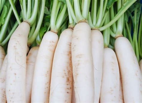 Benefits Of Radish That You Should Know The Kitchensurvival