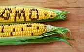 Genetically Modified (GM) Foods: Pros and Cons