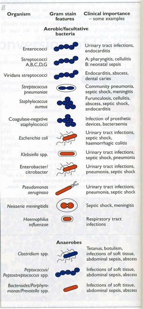 Microbiology Unknown Identification Chart
