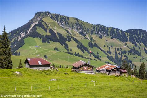 Alpine Cheese Tasting In A Traditional Swiss Farm Passenger Diaries