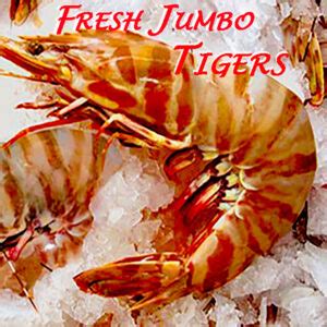 Jumbo U Tigers Wild Caught Capalaba Aussie Seafood House