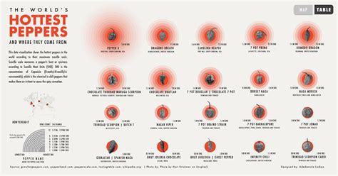 Votd How To Get Viz Of The Day The Flerlage Twins Analytics Data Visualization And Tableau