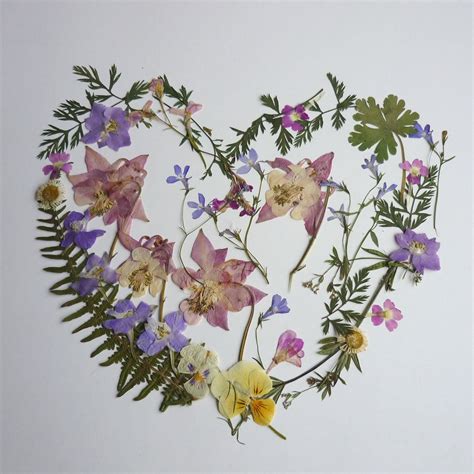 Pressed flower Pressed flower art Pressed flowers for ...