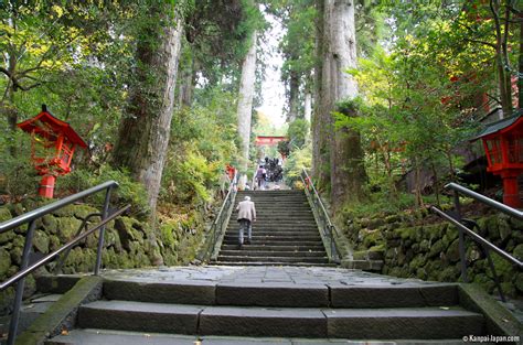 Hakone Jinja The Great Shrine Wrapped In Forest On The Shores Of Lake