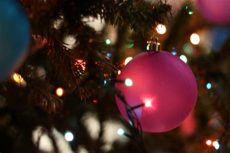 Close Up Of Christmas Tree At Night · Free Stock Photo