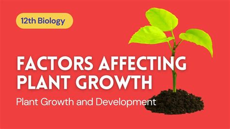 Factors Affecting Plant Growth And Development Factors Needed For