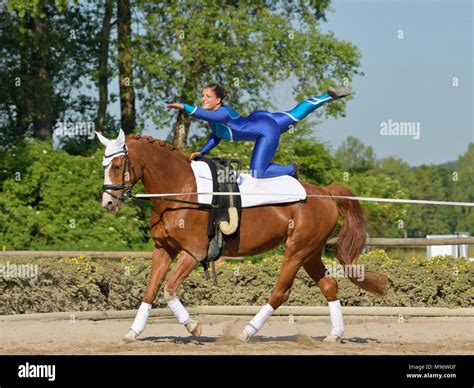 Horse Vaulting Hi Res Stock Photography And Images Alamy
