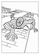Spider-Man da colorare: Immagini, Gif Animate & Clipart - 100% GRATIS!