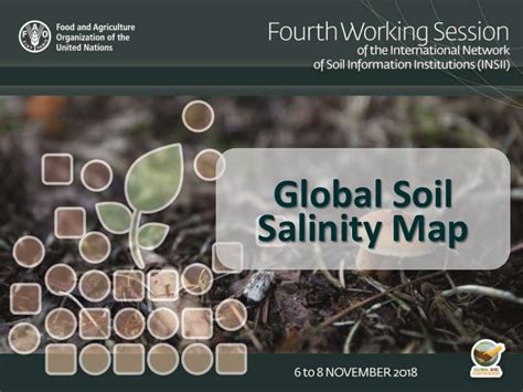 Item 6 Global Soil Salinity Map Review The Concept Paper And The Te