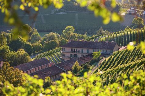 Italy Piedmont Cuneo District Colline Del Barolo Langhe Serralunga