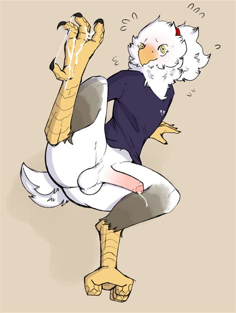 Rule 34 2020 4 Fingers 4 Toes Accessory Accipitrid Accipitriform Anisodactyl Anthro Ass Avian