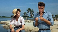 Ein Sommer in Florida - Kritik | Film 1962 | Moviebreak.de