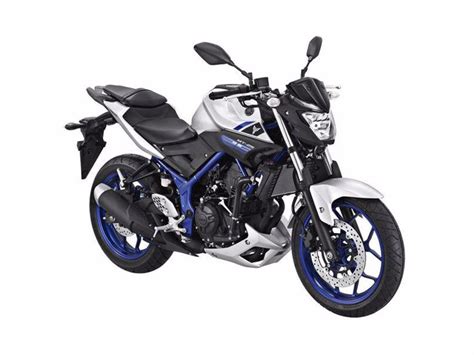 If brought in maybe many more years. New Yamaha MT-25 naked breaks cover