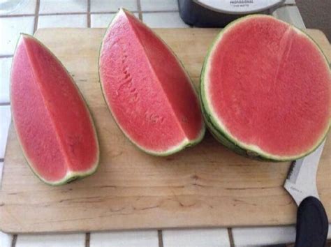 These Juicy Smooth Seedless Watermelons Roddlysatisfying