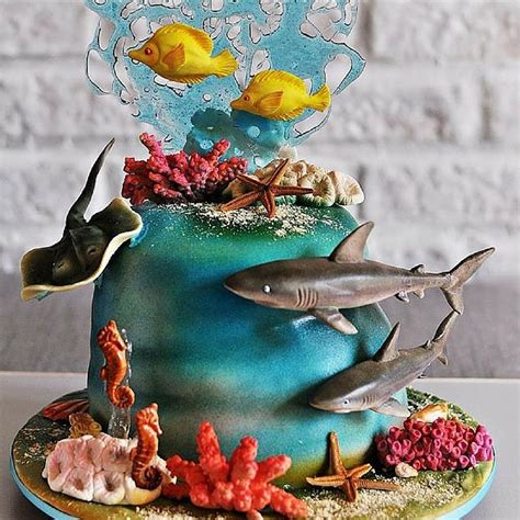 Cake It Easy In 2023 Aquarium Cake Ocean Cakes Sea Cakes