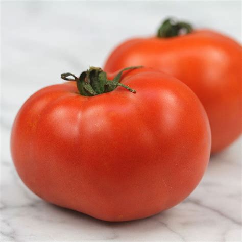 Sub Arctic Plenty Tomato Seeds Stark Bros