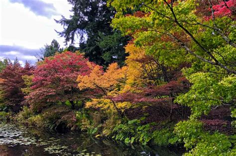 Visit vandusen botanical garden, jointly operated by the city of vancouver parks board and the vancouver botanical gardens association. VanDusen Botanical Garden | Great Gardens of the World