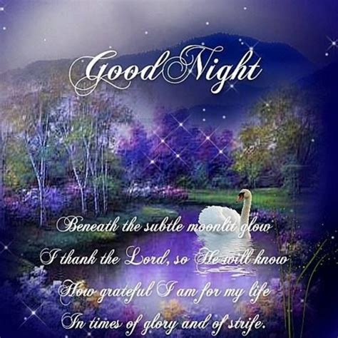 10 Best Good Night Messages Greetings For You