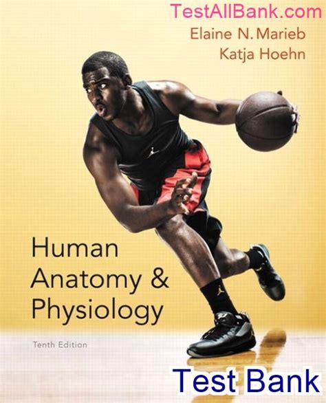 Human Anatomy And Physiology 10th Edition Marieb Test Bank