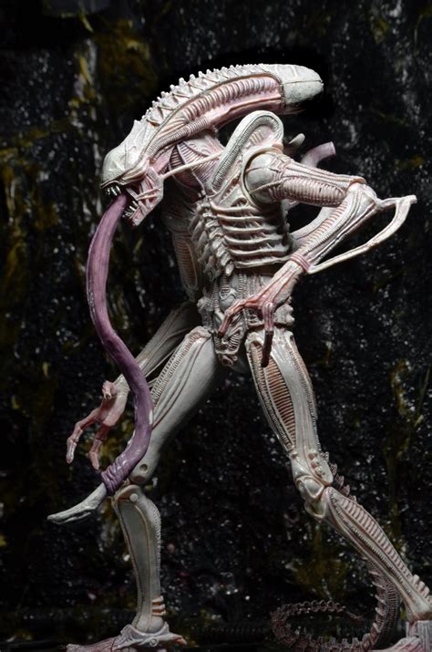 NECA Unveils 30th Anniversary Aliens Action Figure Collection - Dread 