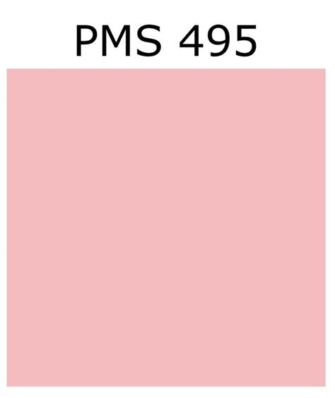 Pantone Blush Pink 495 Pink Room Blush Pink Pink