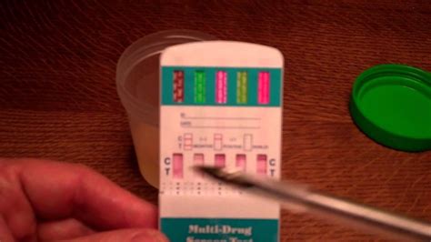 Conducting A 5 Panel Urine Drug Test Guide To How It Works And How To