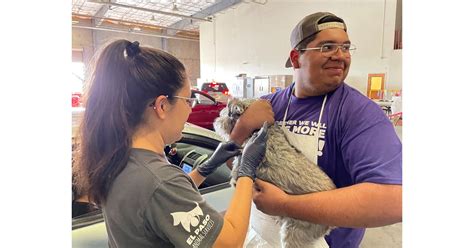 Petco Love Will Provide 1 Million Vaccines To Animal Welfare Partners