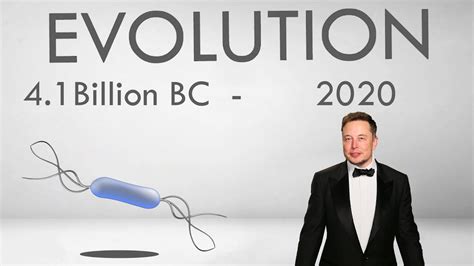 Human Evolution 41 Billion Bc 2020 Youtube