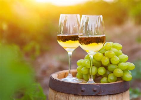 10 Best Italian White Wines Best Italian Dry White Wines Ib