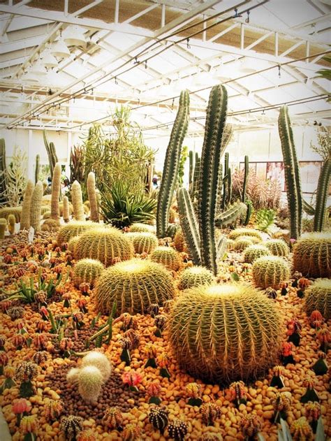 How to Start a Landscaping Business - The Keys To A Succesful Start-Up