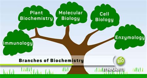 Scope And Application Of Biochemistry