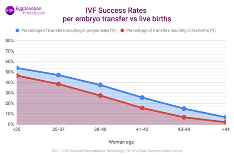 ivf success rates figures and myths revealed