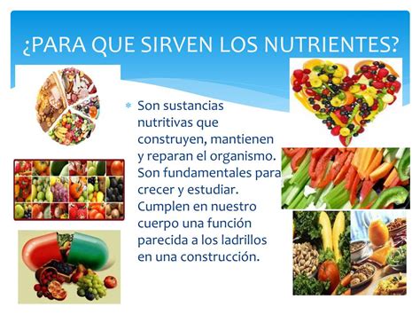 Ppt La Nutricion Powerpoint Presentation Free Download Id3487041