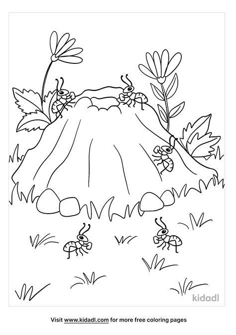 Ant Hill Coloring Page Maze Sketch Coloring Page