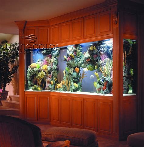 I Need To Have A Huge Aquarium In My Dream Home Aquarium Design