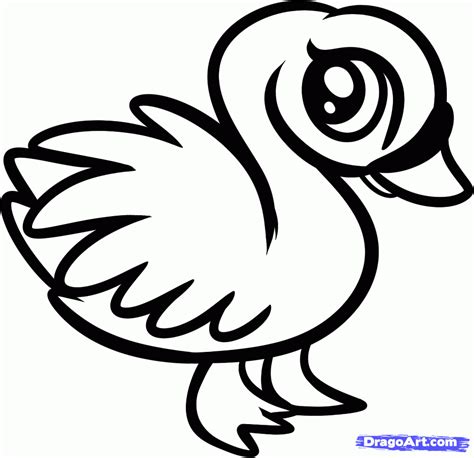 Please note, our coloring pages are for personal use only. Woodland Animal Coloring Page - Coloring Home
