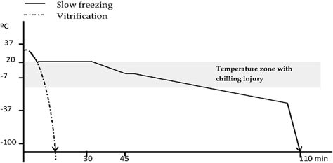 Temperature Changes In Slow Freezing And Vitrification Download