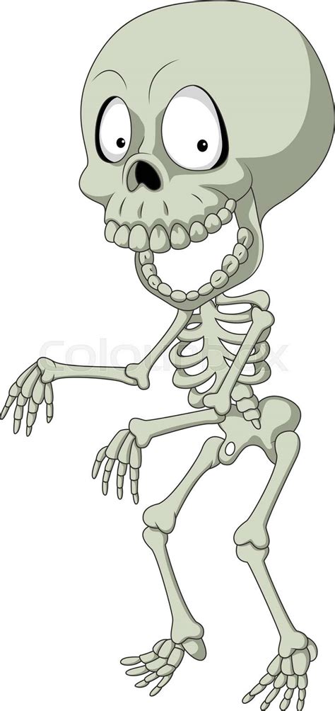 Cartoon Funny Human Skeleton Stock Vector Colourbox