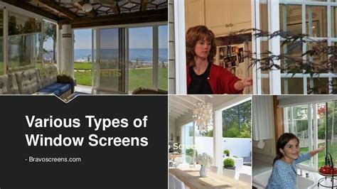 Various Types Of Window Screens