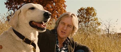 Votd An Animal Trainer Explains How Good Dogs Act In Movies