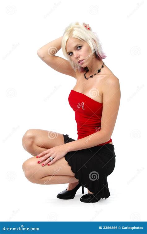 Klassische Pin Up Girlaufstellung Stockfoto Bild Von Schätzchen Elegant 3356866