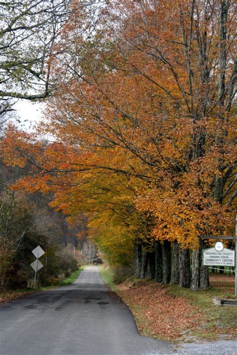 11 Country Roads In Virginia That Are Pure Bliss In The Fall Country