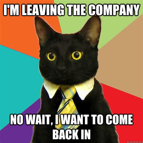 Im Leaving The Company No Wait I Want To Come Back In Business Cat