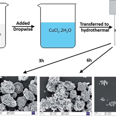 Schematic Showing The Synthesis Of Copper Sulphide Flowers Download