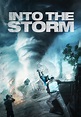 Into the Storm (2014) | Kaleidescape Movie Store