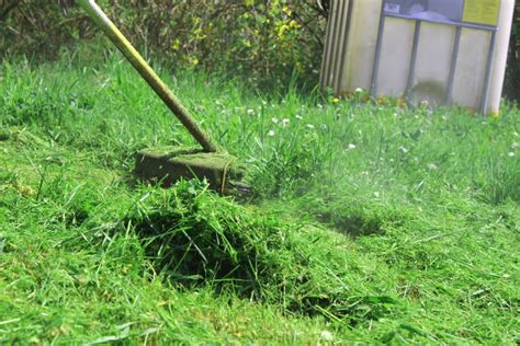 How To Cut Extremely Long Grass In 5 Easy Steps