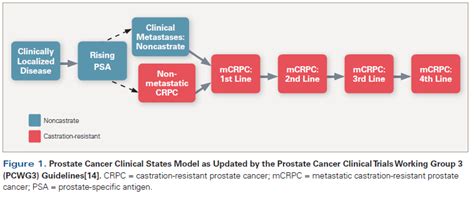 The Evolving Biology Of Castration Resistant Prostate Cancer Review Of