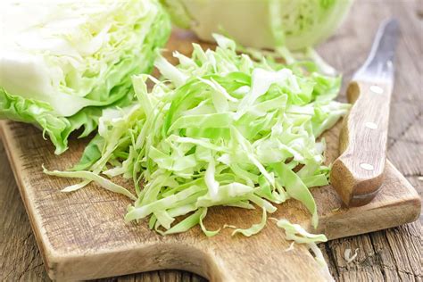 How To Shred Cabbage In A Food Processor Howdykitchen