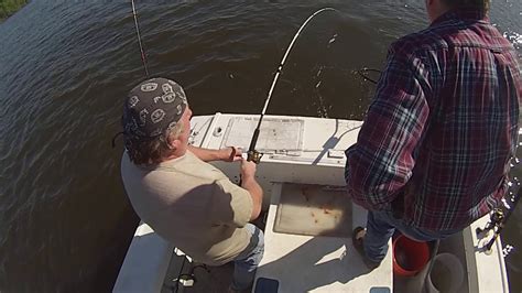 Striped Bass Fishing Hudson River Youtube